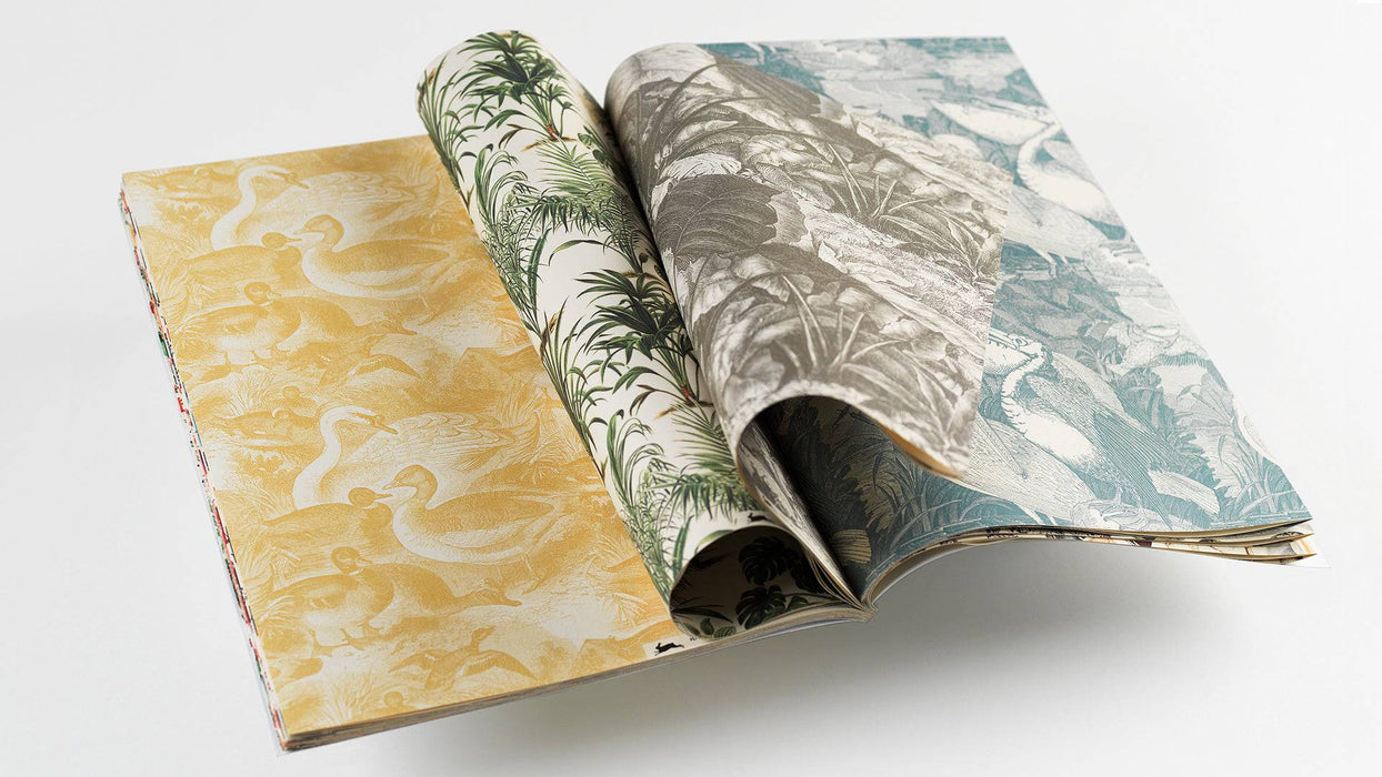 Creative Paper by Pepin Press featuring natural history illustrations on textured paper for artistic projects.
