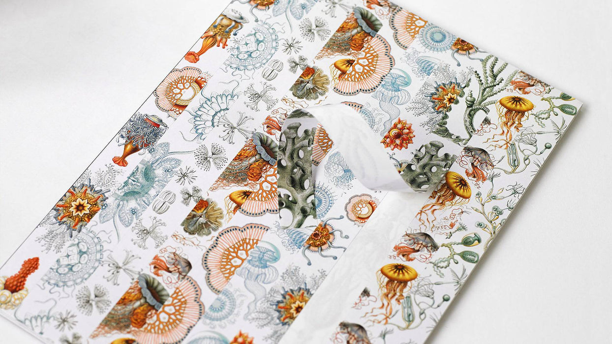 Pepin Press Stickers & Tape Book featuring art forms in nature with colorful nature-inspired sticker and tape designs.