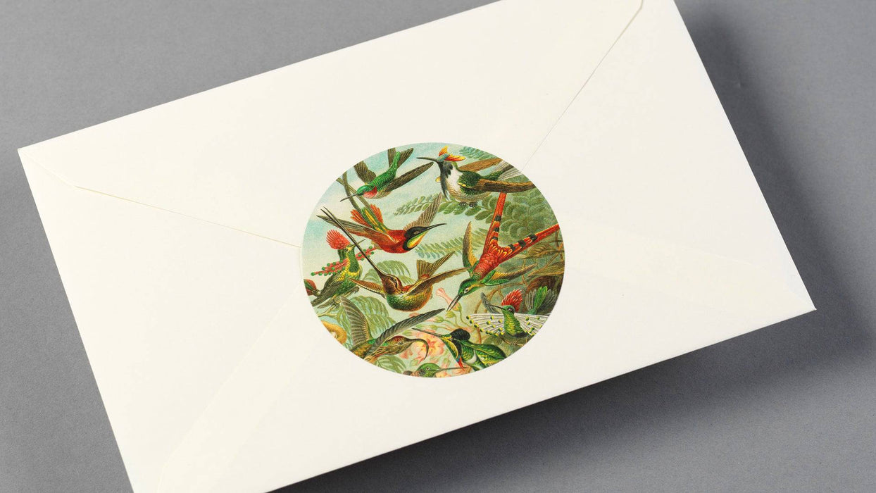 Pepin Press Sticker & Tape Book featuring nature-inspired art forms, with colorful stickers and decorative tape pages.