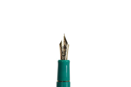 Pilot Custom 743 fountain pen in verdigris finish, US exclusive, with an elegant design and fine nib for smooth writing.
