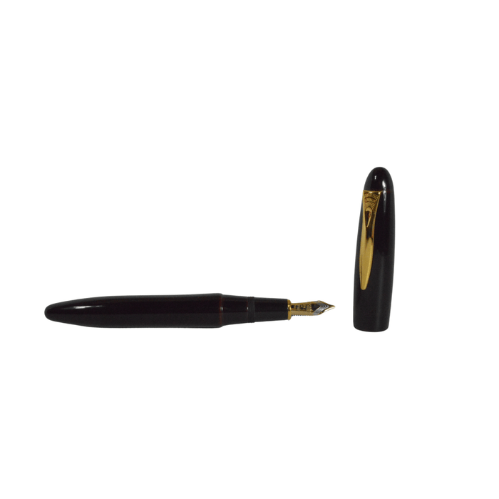 Platinum Izumo fountain pen by Platinum Pen Company with medium nib, black resin body and gold accents.