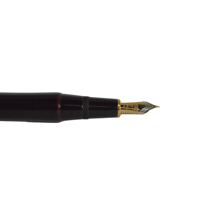 Platinum Izumo fountain pen by Platinum Pen Company with medium nib, featuring sleek design and elegant gold accents.