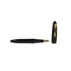Platinum Izumo fountain pen by Platinum Pen Company with Soratame finish and fine nib, shown with cap and clip detail.