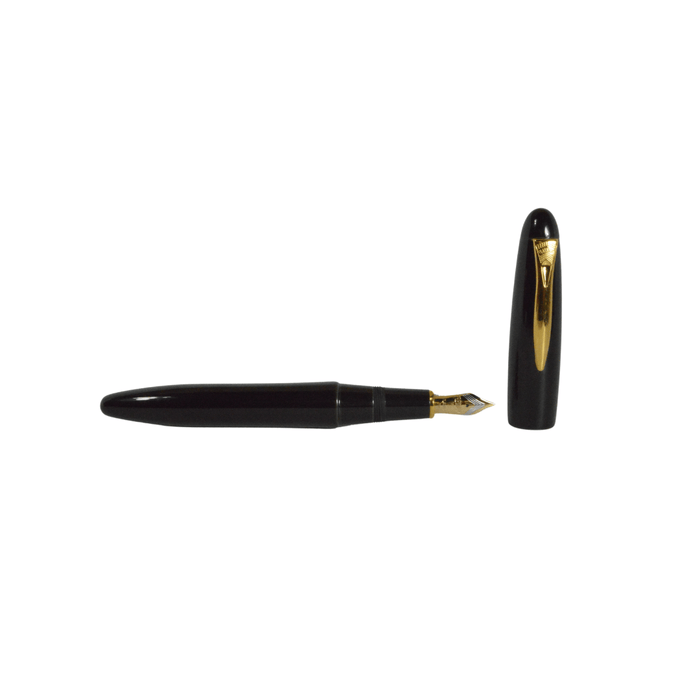 Platinum Izumo fountain pen by Platinum Pen Company with Soratame finish and fine nib, shown with cap and clip detail.