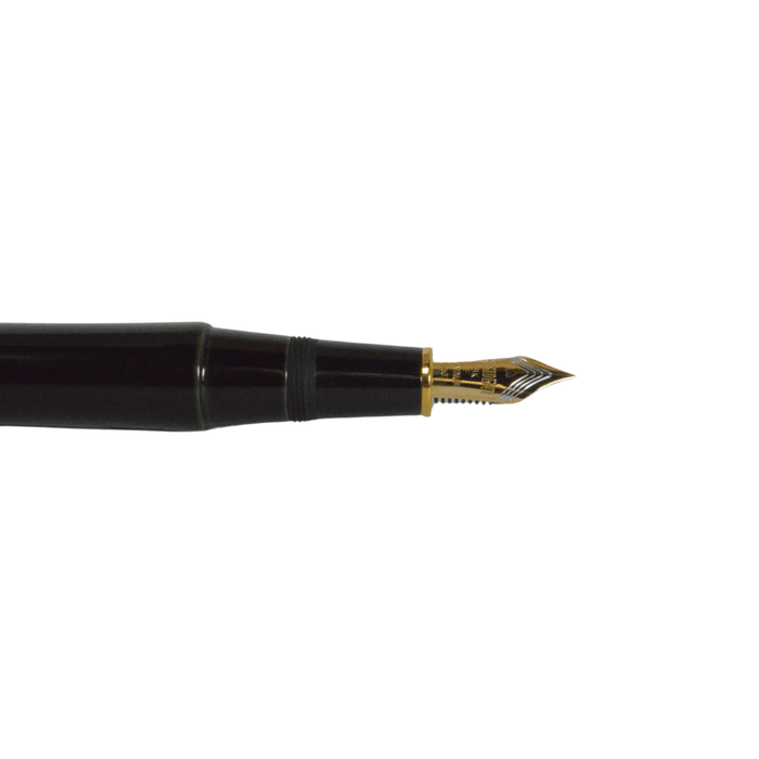 Platinum Izumo Soratame fountain pen with fine nib, featuring elegant design and gold accents from Platinum Pen Company.