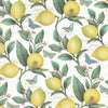 Rossi wrapping paper featuring a lemon and butterfly pattern with bright yellow and colorful illustrations on a white background.