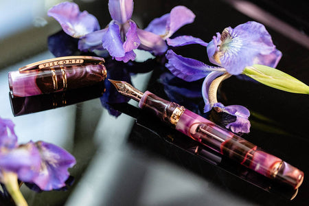 Visconti Homo Sapiens Iris Garden fountain pen with fine nib, featuring a distinctive patterned body and elegant design.