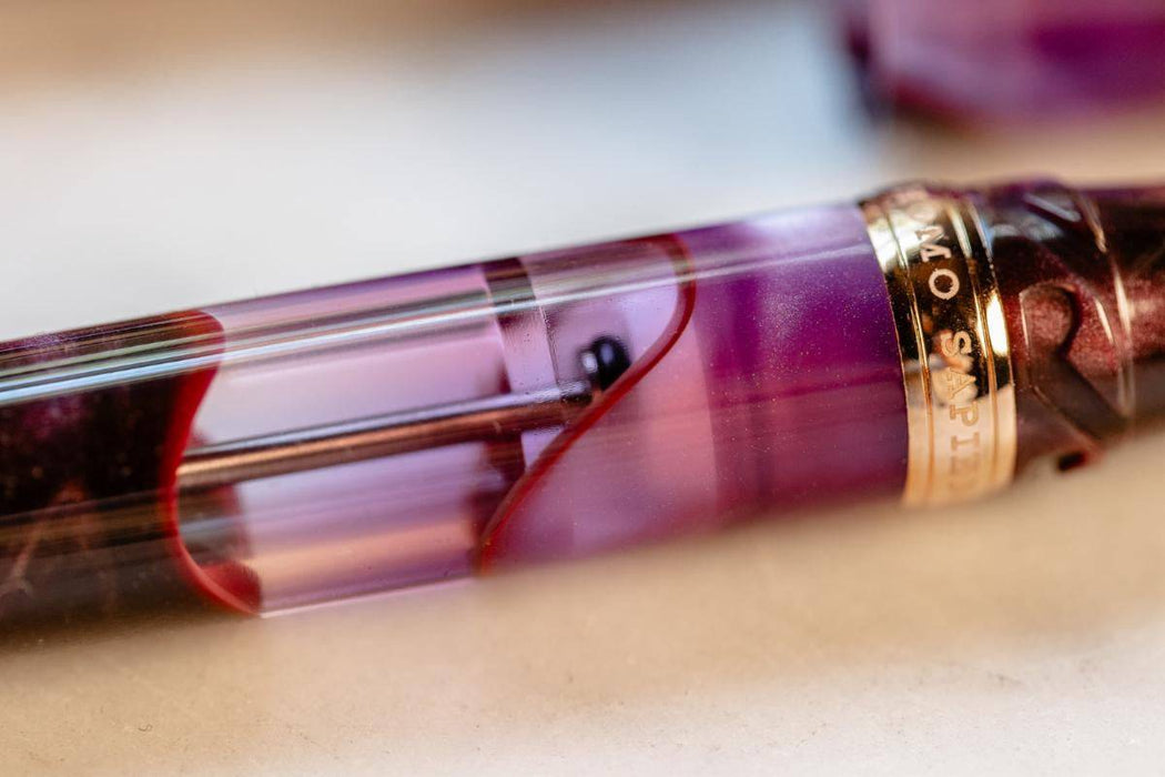 Visconti Homo Sapiens Iris Garden fountain pen with a sleek design and fine nib, showcasing intricate iris garden detailing.