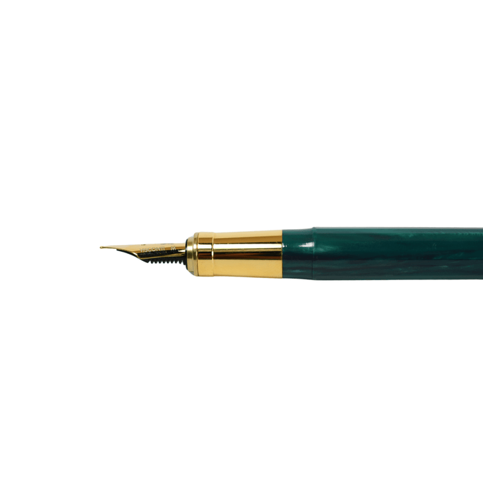 Visconti Van Gogh Novel Reader fountain pen with fine nib, featuring a detailed artistic design on the barrel.