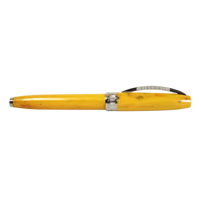 Visconti Van Gogh Sunflower rollerball pen with detailed sunflower artwork on the black barrel.