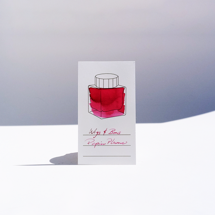 Papier Plume Fountain Pen Ink from the New Orleans Collection, with vibrant ink bottles and colorful packaging.